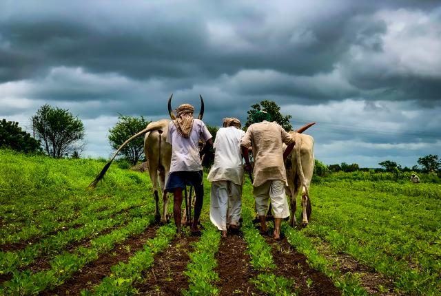 kisan center