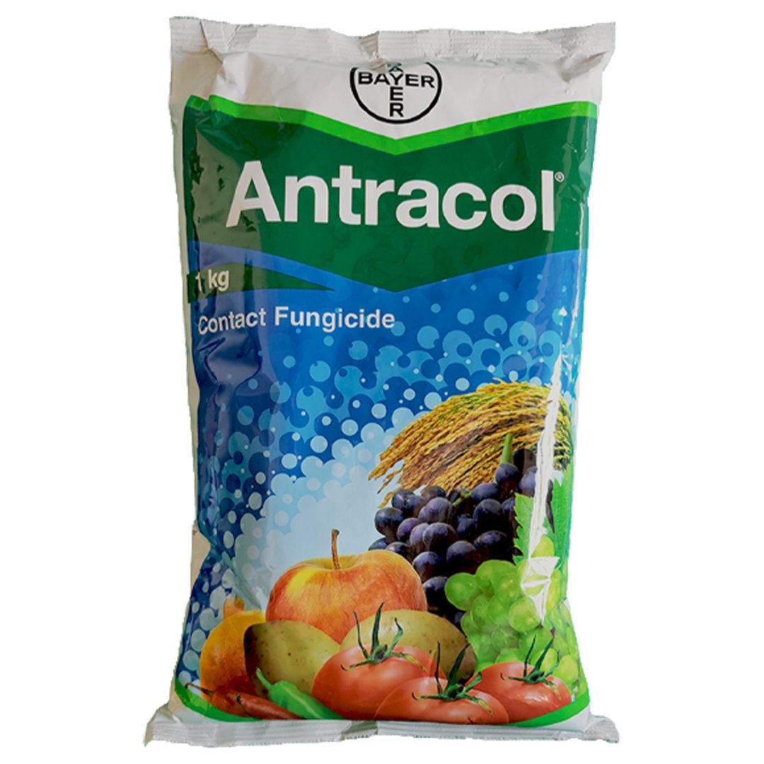 Bayer Antracol, Antracol Fungicide, Propineb 70% WP, Antracol 1kg price 