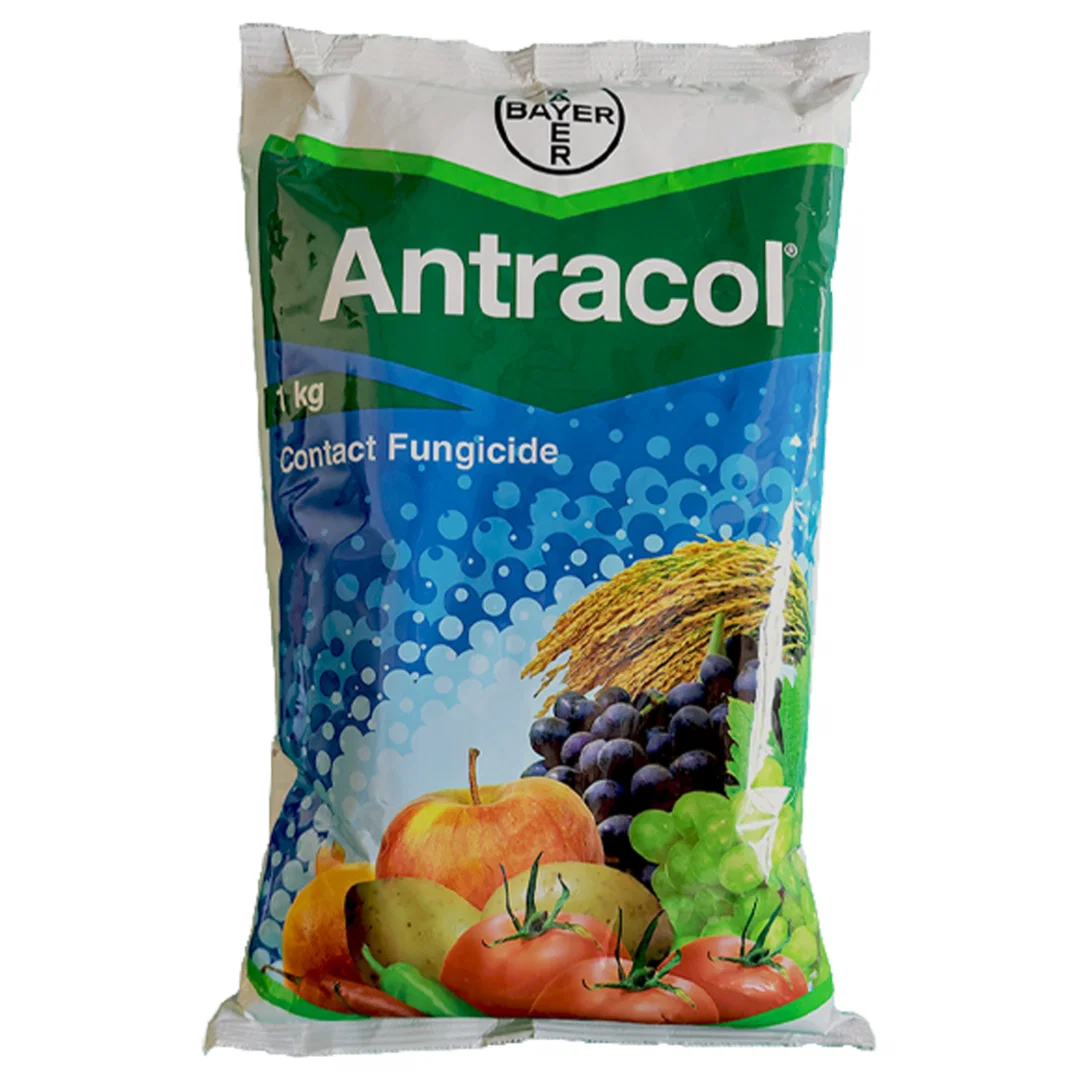 Bayer Antracol, Antracol Fungicide, Propineb 70% WP, Antracol 1kg price 