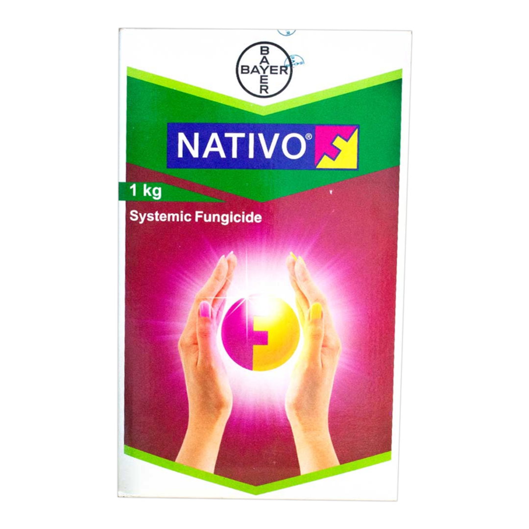 Kisan center Bayer Nativo Fungicide (Tebuconazole 50%+ Trifloxystrobin 25% WG)