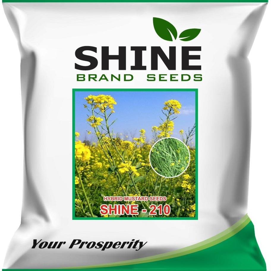 Kisan center Mustard Shine-210 - Shine Brand Seeds (1 Kg)