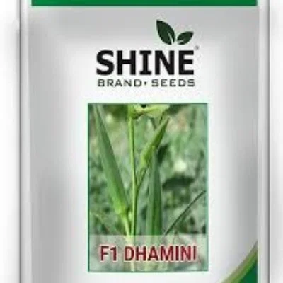 Okra - Damini F1
