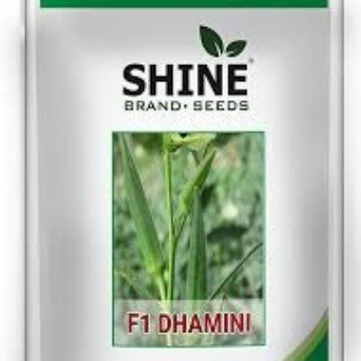 Kisan center Okra - Damini F1