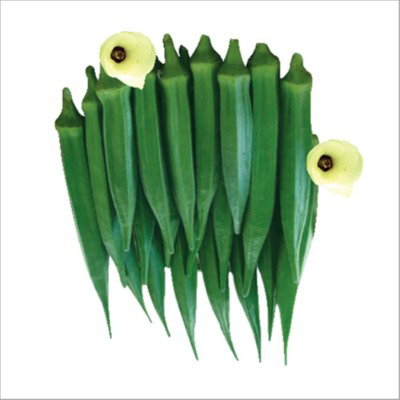 Kisan center Okra - Damini F1