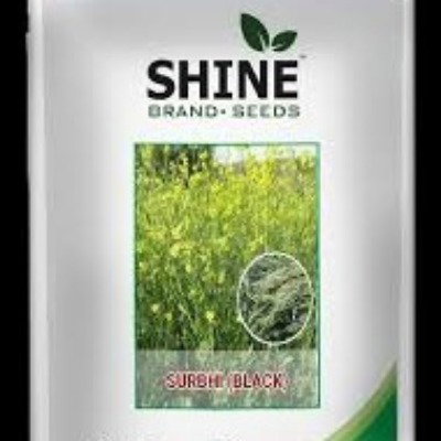 Kisan center Mustard - Surabhi Black