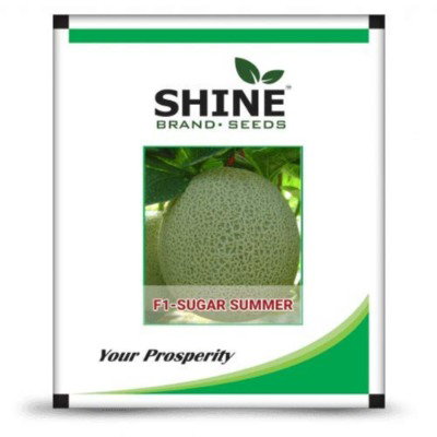 Kisan center MuskMelon - Sugar Summer