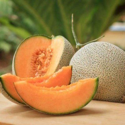 Kisan center MuskMelon - Sugar Summer