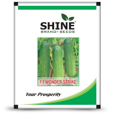 Kisan center Cucumber - Wonder Strike F1
