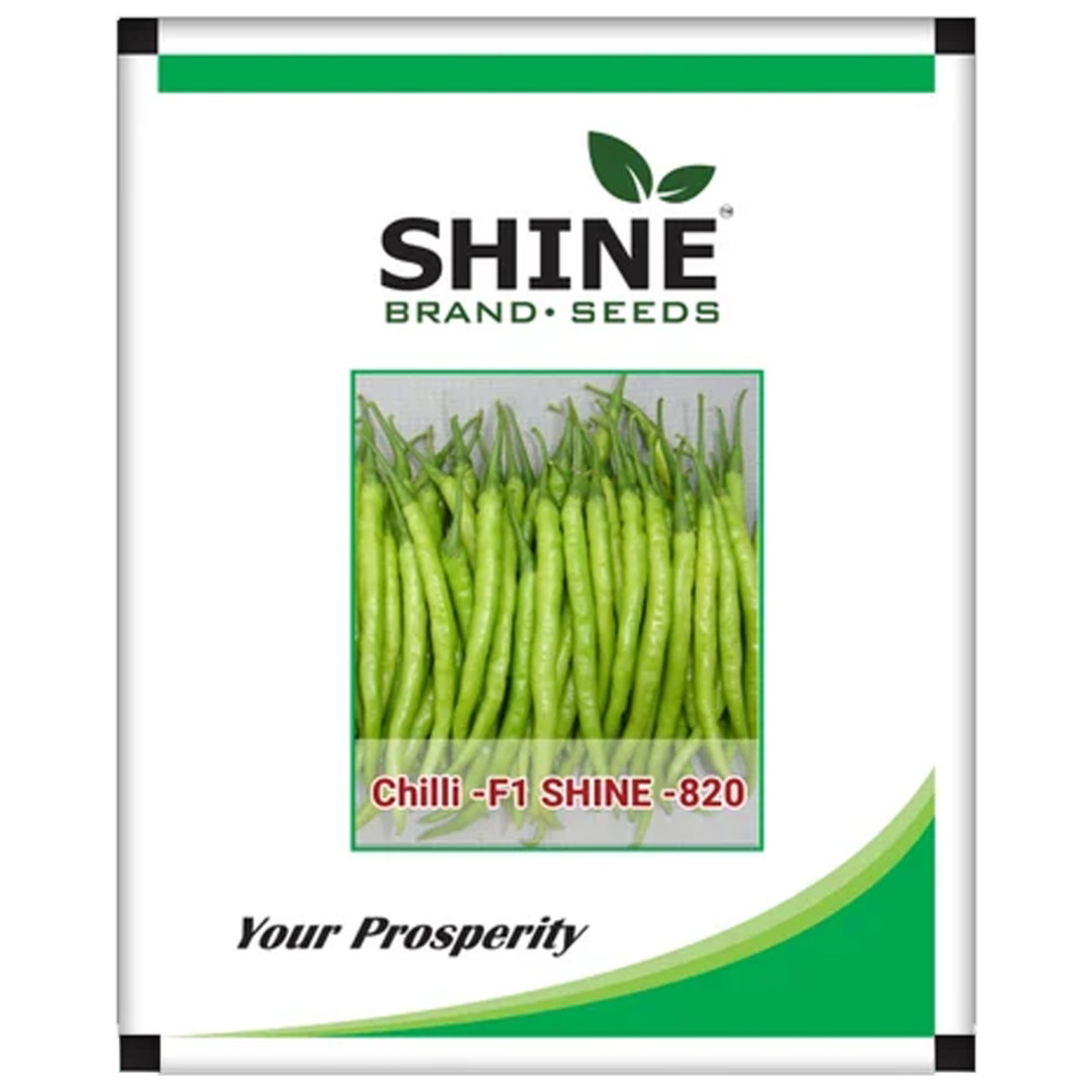 Kisan center Chilli - Shine 820 F1