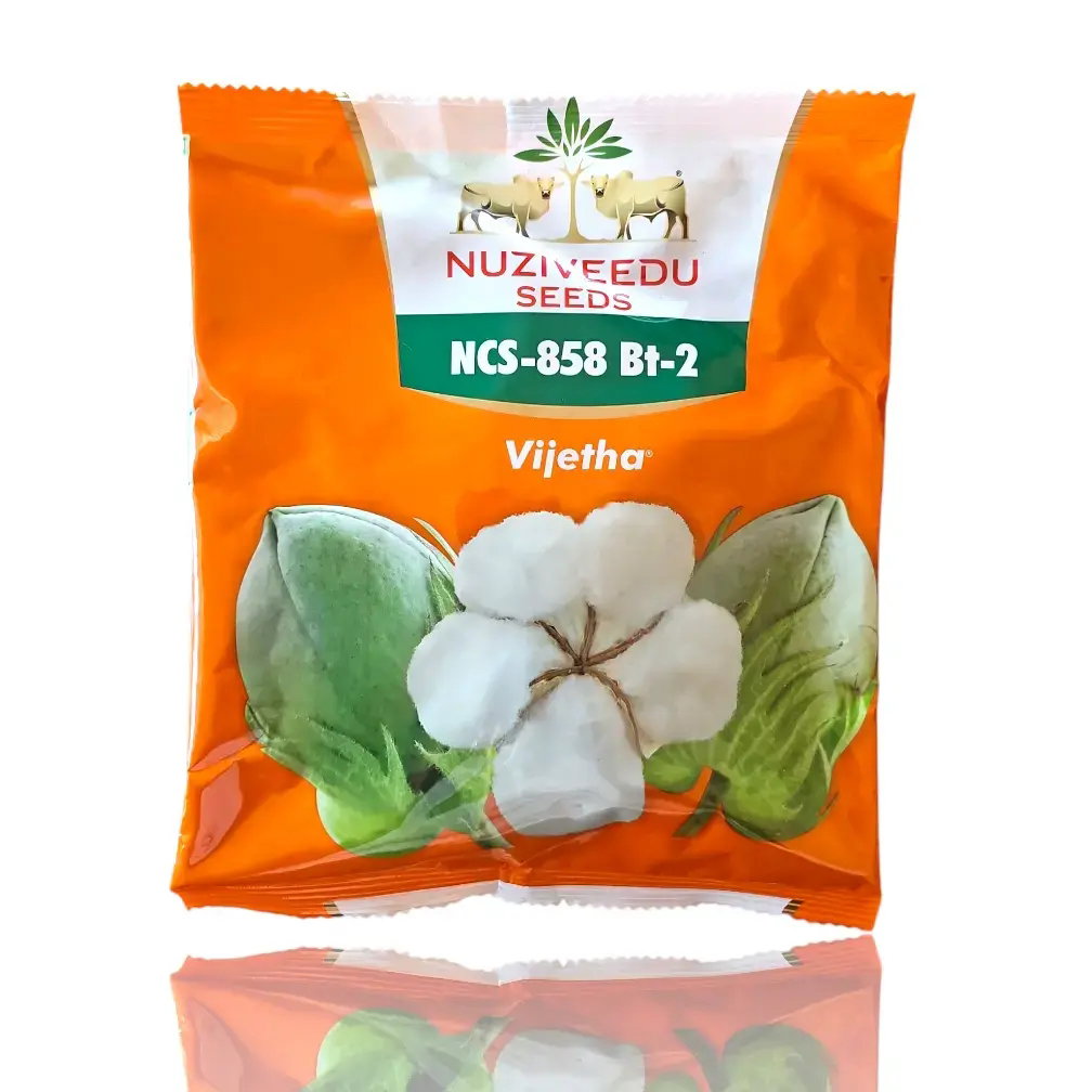 Nuziveedu Vijetha, Vijetha NCS 858 BG2, Nuziveedu cotton seeds, Nuziveedu Vijetha price, Best cotton seeds in India, Kapas ke best beej, Narma ka top variety, High yield cotton seeds, Bada tinda cotton variety