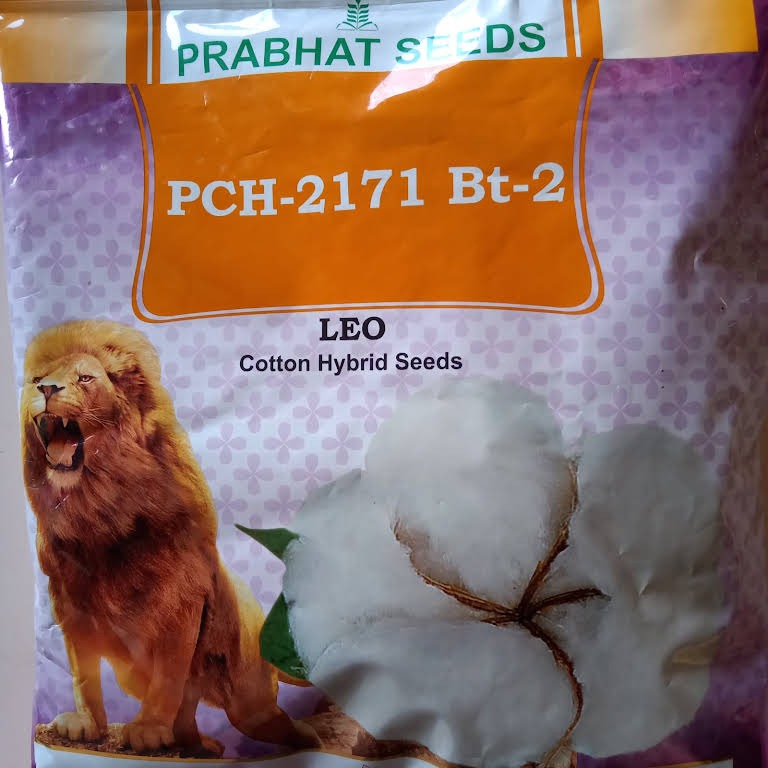 Prabhat Leo price, PCH 2171 cotton seed price, buy Prabhat cotton seeds online, buy BT cotton seeds online, agriculture seeds online, Kisan Center cotton seeds