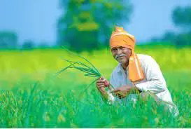 Kisan Center Helping Farmers with Pesticides.