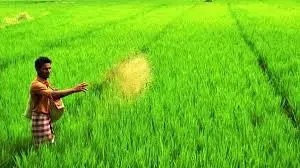 FARMERS: THE HERO OF THE NATION